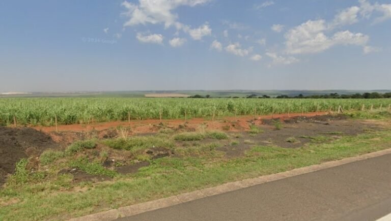 Fazenda em Zona rural (BR-050), Uberlândia/MG